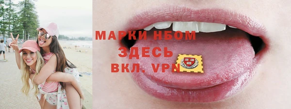 шишки Медвежьегорск