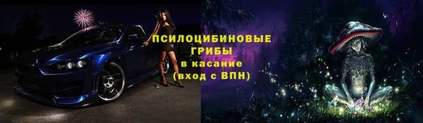 бошки Абинск
