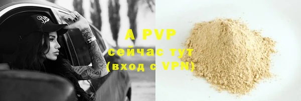 шишки Медвежьегорск