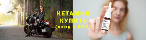 шишки Медвежьегорск