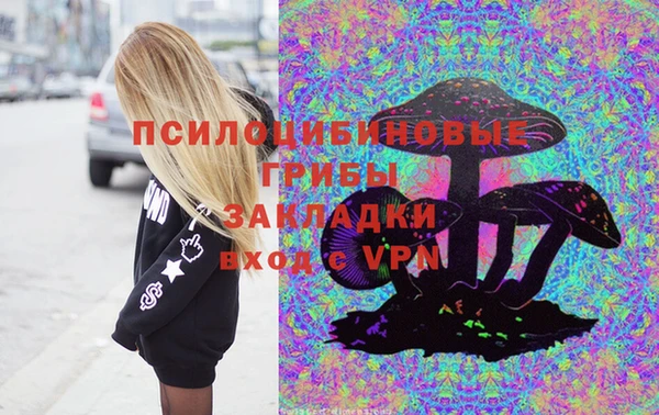 марки lsd Медногорск