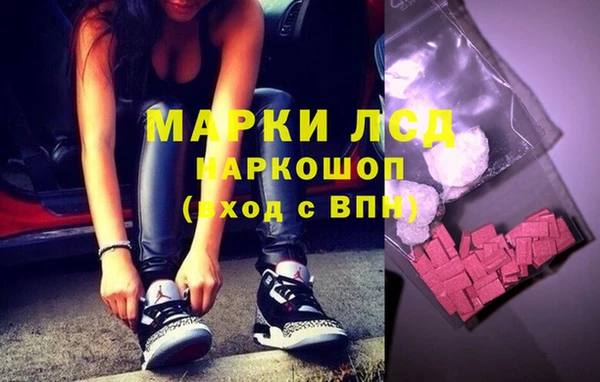 шишки Медвежьегорск
