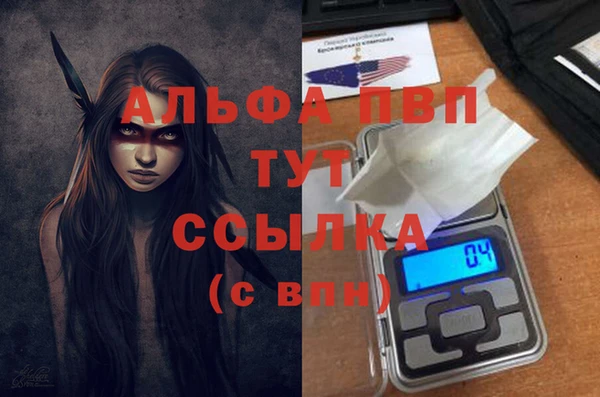 ешки Абаза