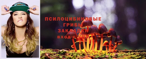 шишки Медвежьегорск